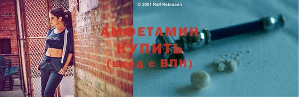 сатива Волоколамск