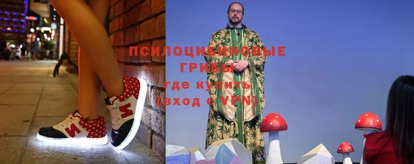 сатива Волоколамск