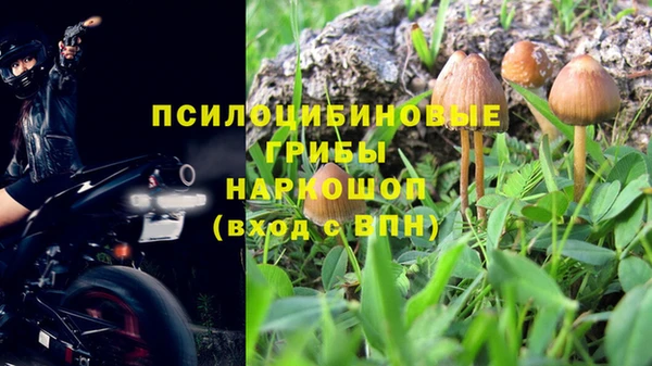 молекула духа Волосово