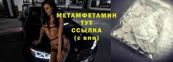 сатива Волоколамск