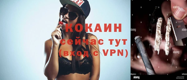 сатива Волоколамск