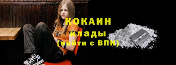 сатива Волоколамск