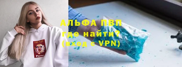 сатива Волоколамск