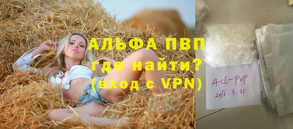 сатива Волоколамск