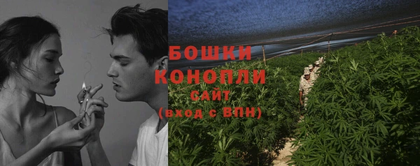 сатива Волоколамск