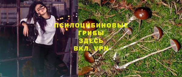 сатива Волоколамск