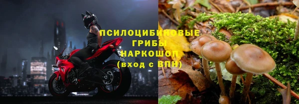 2c-b Верхний Тагил